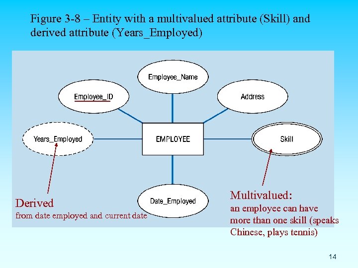Figure 3 -8 – Entity with a multivalued attribute (Skill) and derived attribute (Years_Employed)