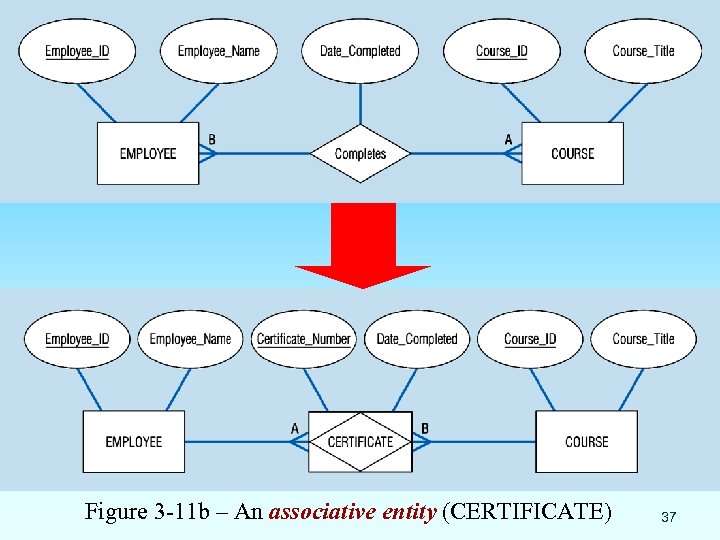 Figure 3 -11 b – An associative entity (CERTIFICATE) 37 
