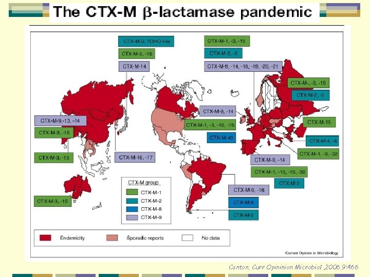 Canton. Curr Opininion Microbiol , 2006. 9: 466 