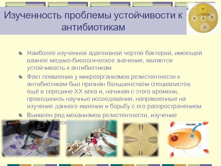 Изученность проблемы устойчивости к антибиотикам Наиболее изученной адаптивной чертой бактерий, имеющей важное медико-биологическое значение,