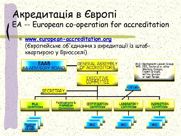 Акредитація в Європі EA -- European co-operation for accreditation www. european-accreditation. org (Європейське об'єднання