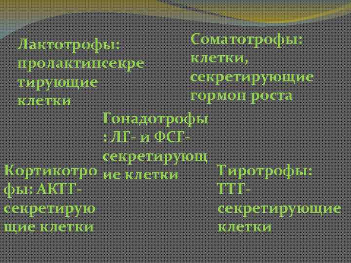 Соматотрофы: Лактотрофы: клетки, пролактинсекретирующие гормон роста клетки Гонадотрофы : ЛГ- и ФСГсекретирующ Кортикотро ие