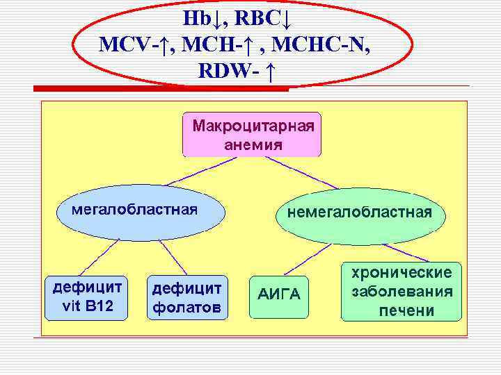 Hb↓, RBC↓ MCV-↑, MCH-↑ , MCHC-N, RDW- ↑ 