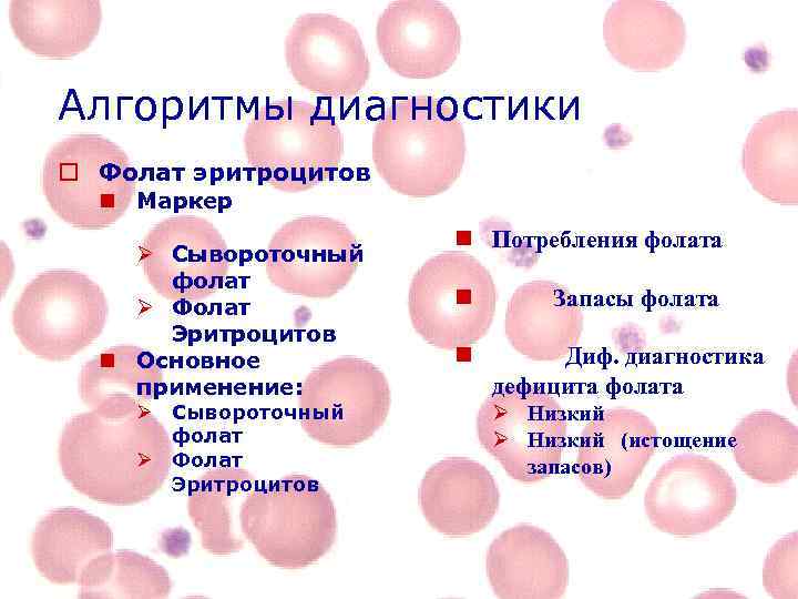 Алгоритмы диагностики o Фолат эритроцитов n Маркер Ø Сывороточный фолат Ø Фолат Эритроцитов n