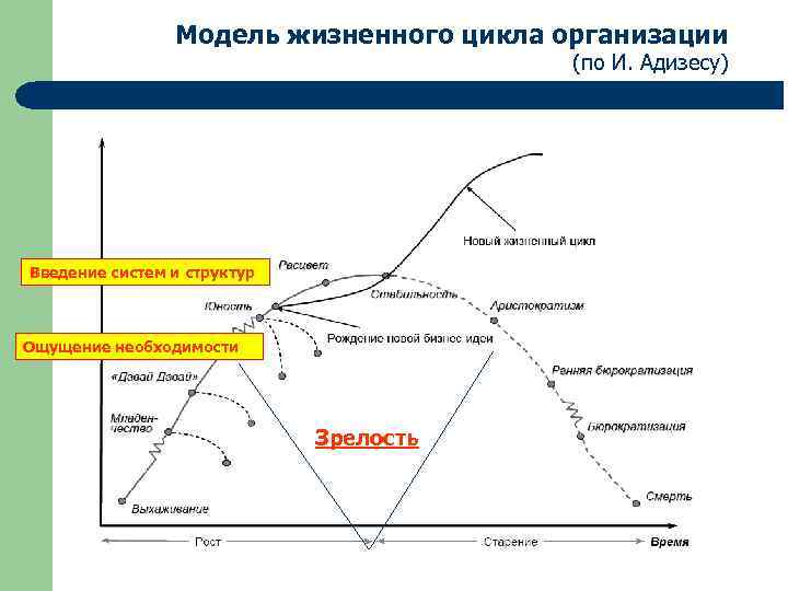 Модель и адизеса презентация