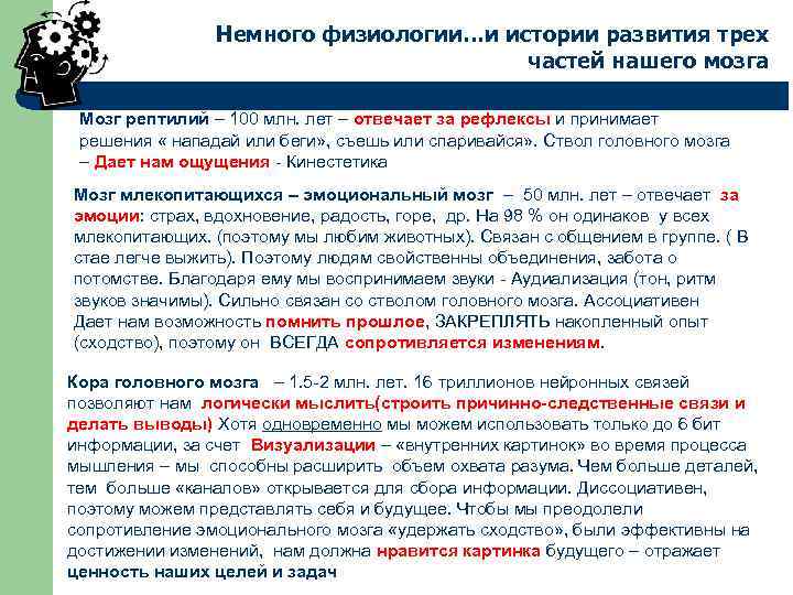 Немного физиологии…и истории развития трех частей нашего мозга Мозг рептилий – 100 млн. лет