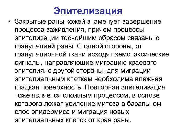 Эпителизация • Закрытые раны кожей знаменует завершение процесса заживления, причем процессы эпителизации теснейшим образом