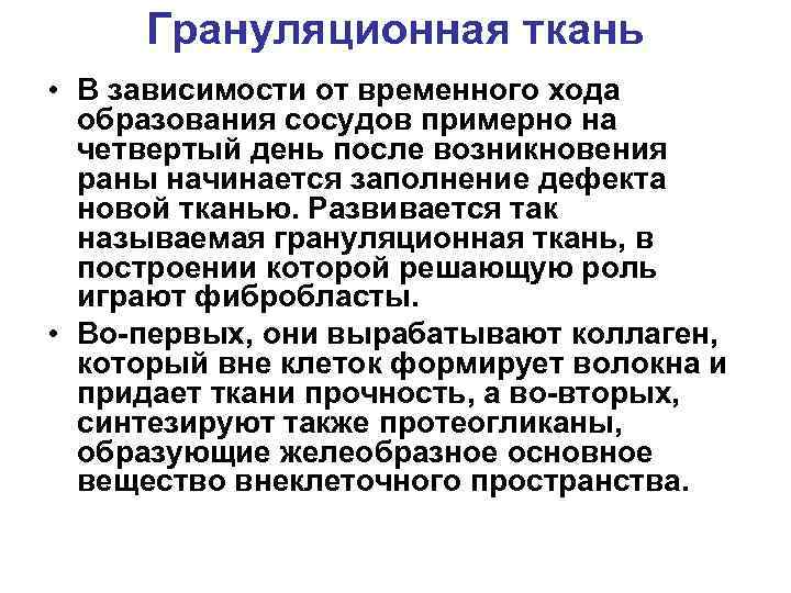 Грануляционная ткань • В зависимости от временного хода образования сосудов примерно на четвертый день