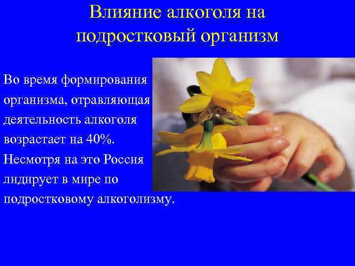 Влияние алкоголя на подростковый организм Во время формирования организма, отравляющая деятельность алкоголя возрастает на