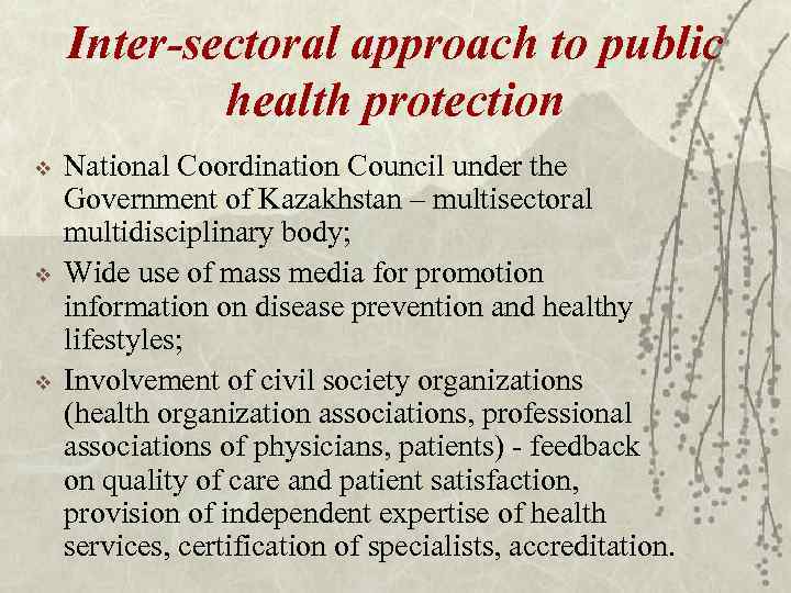 Inter-sectoral approach to public health protection v v v National Coordination Council under the