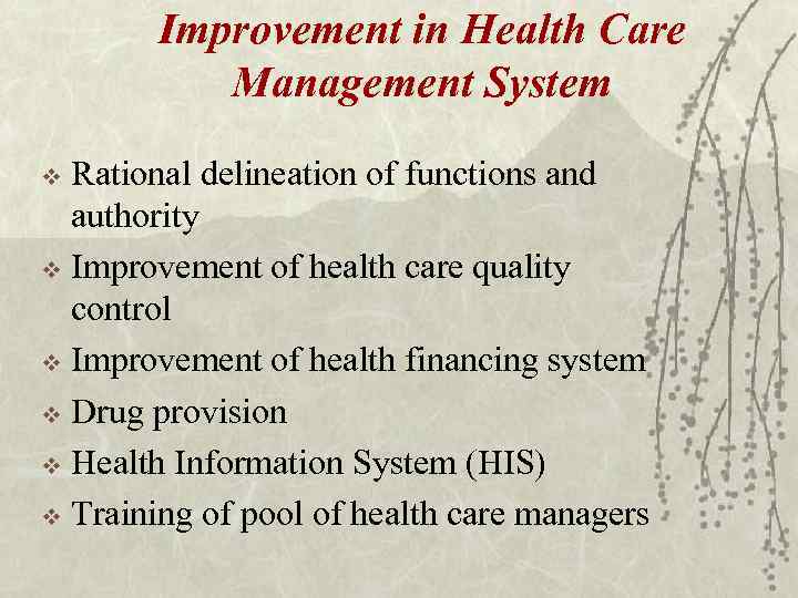 Improvement in Health Care Management System Rational delineation of functions and authority v Improvement