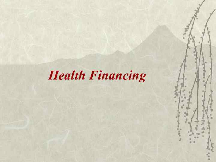 Health Financing 