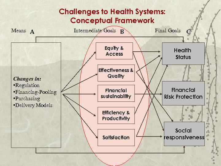 Challenges to Health Systems: Conceptual Framework Means A Intermediate Goals B Equity & Access