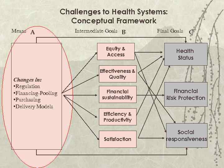 Challenges to Health Systems: Conceptual Framework Means A Intermediate Goals B Equity & Access