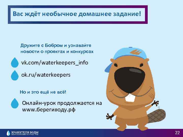 Вас ждёт необычное домашнее задание! Дружите с Бобром и узнавайте новости о проектах и