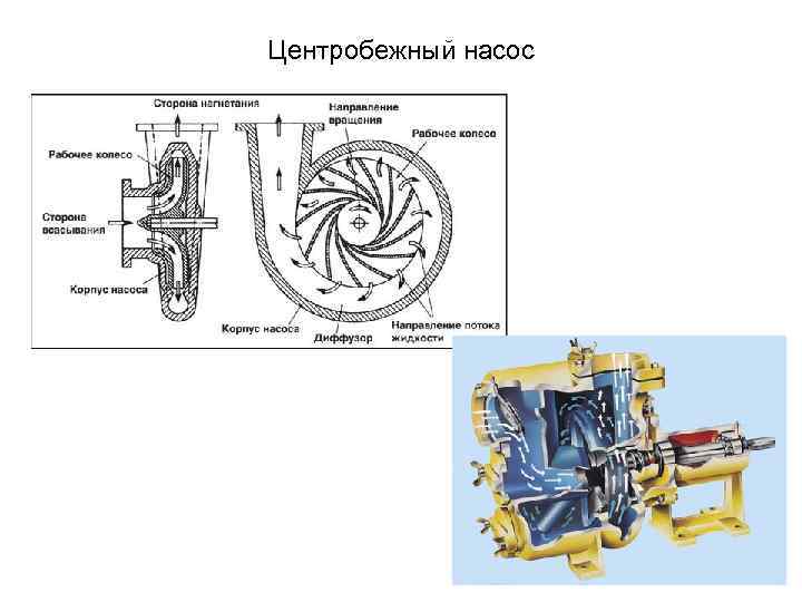 Центробежный насос 