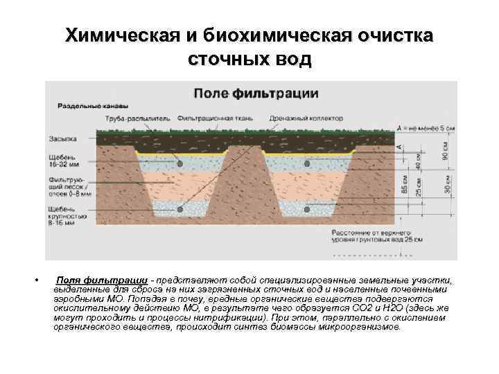 Химическая и биохимическая очистка сточных вод • Поля фильтрации - представляют собой специализированные земельные