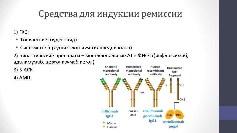 Средства для индукции ремиссии 1) ГКС: • Топические (будесонид) • Системные (преднизолон и метилпреднизолон)