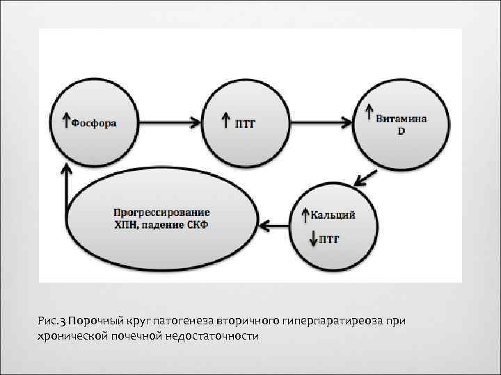 Рис. 3 Порочный круг патогенеза вторичного гиперпаратиреоза при хронической почечной недостаточности 