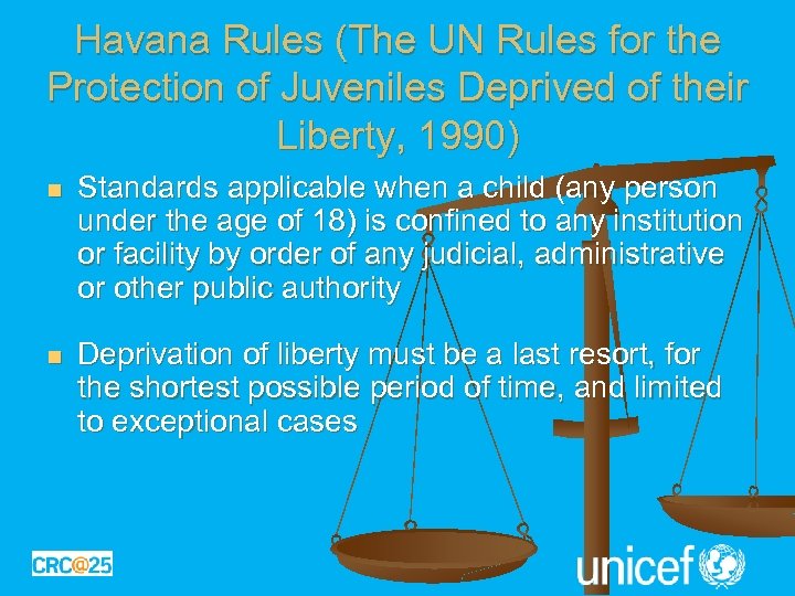 Havana Rules (The UN Rules for the Protection of Juveniles Deprived of their Liberty,