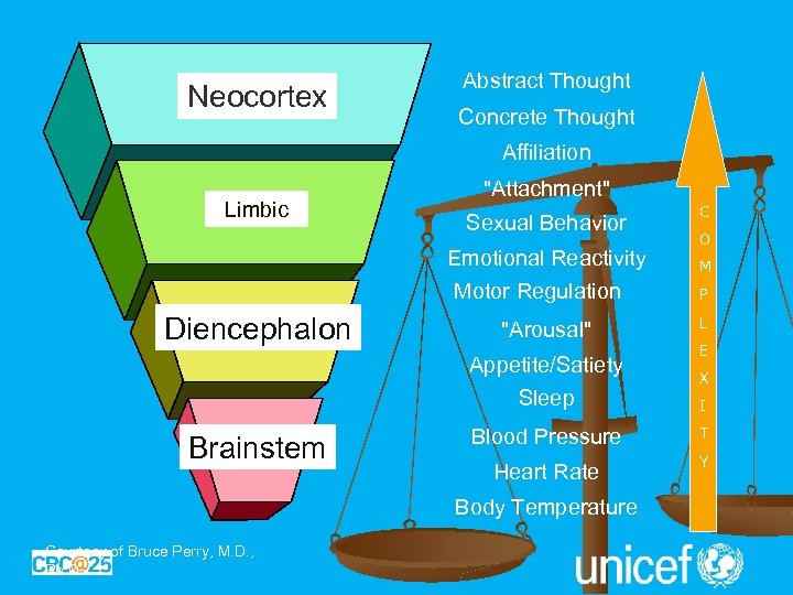 Neocortex Abstract Thought Concrete Thought Affiliation Limbic 