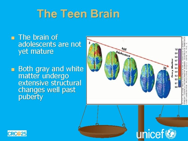 The Teen Brain n n The brain of adolescents are not yet mature Both