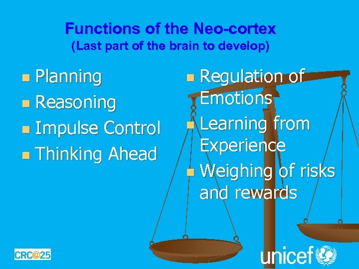 Functions of the Neo-cortex (Last part of the brain to develop) Planning n Reasoning