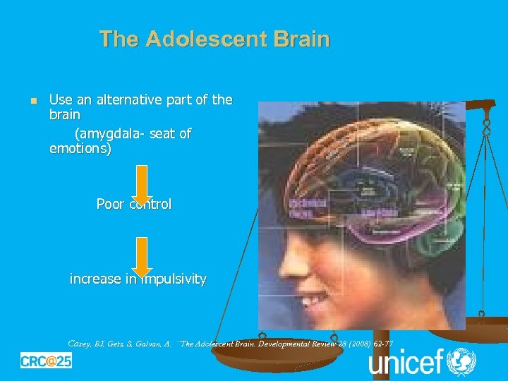 The Adolescent Brain Use an alternative part of the brain (amygdala- seat of emotions)