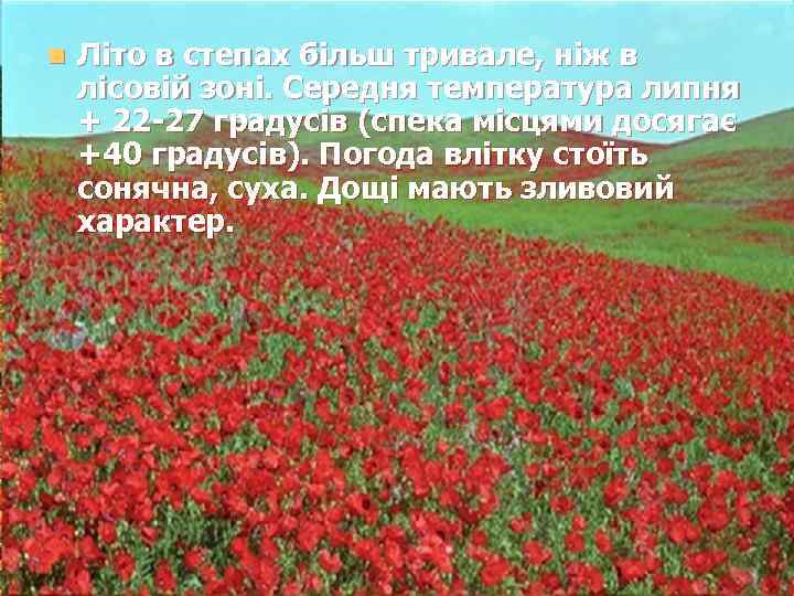 n Літо в степах більш тривале, ніж в лісовій зоні. Середня температура липня +