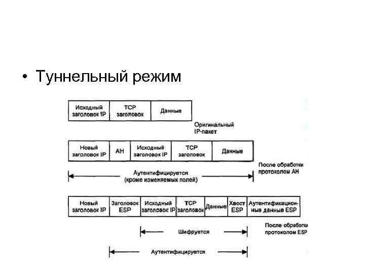  • Туннельный режим 