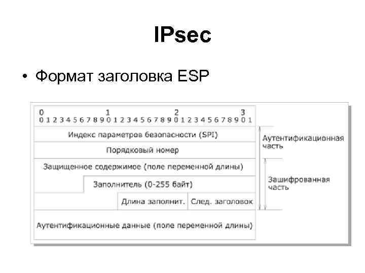 Формат заголовка. Заголовок ESP. Безопасные сетевые протоколы. Формат заголовков Ah и ESP.