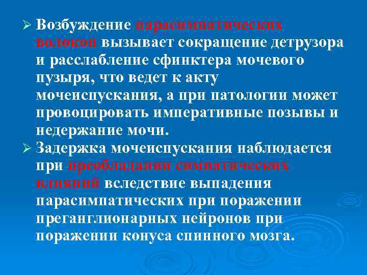 Ø Возбуждение парасимпатических волокон вызывает сокращение детрузора и расслабление сфинктера мочевого пузыря, что ведет