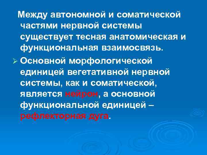  Между автономной и соматической частями нервной системы существует тесная анатомическая и функциональная взаимосвязь.