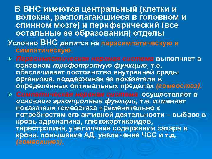  В ВНС имеются центральный (клетки и волокна, располагающиеся в головном и спинном мозге)