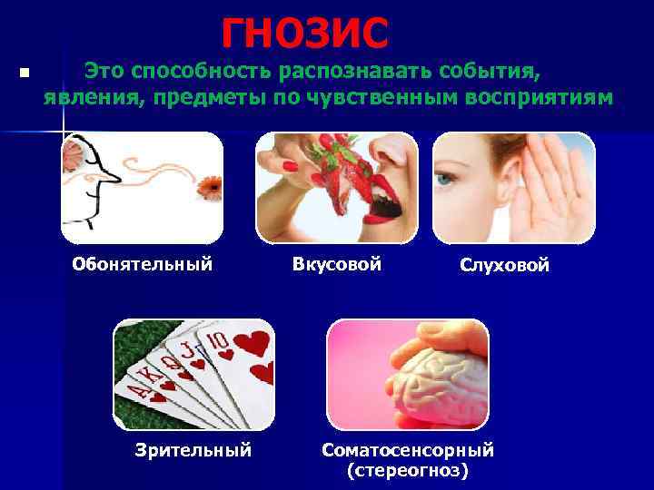  ГНОЗИС n Это способность распознавать события, явления, предметы по чувственным восприятиям Обонятельный Зрительный