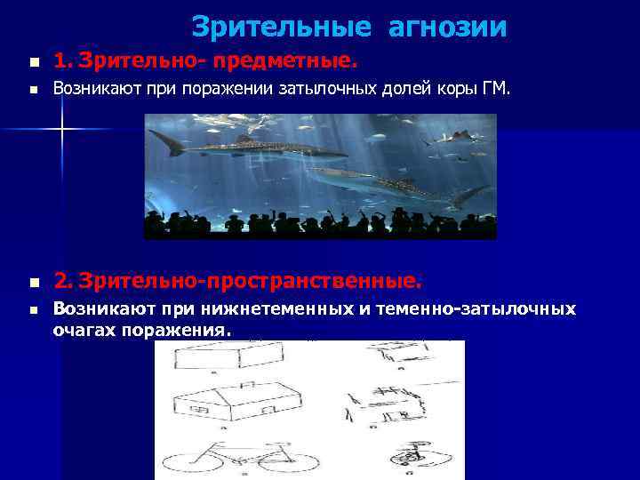  Зрительные агнозии n 1. Зрительно- предметные. n Возникают при поражении затылочных долей коры