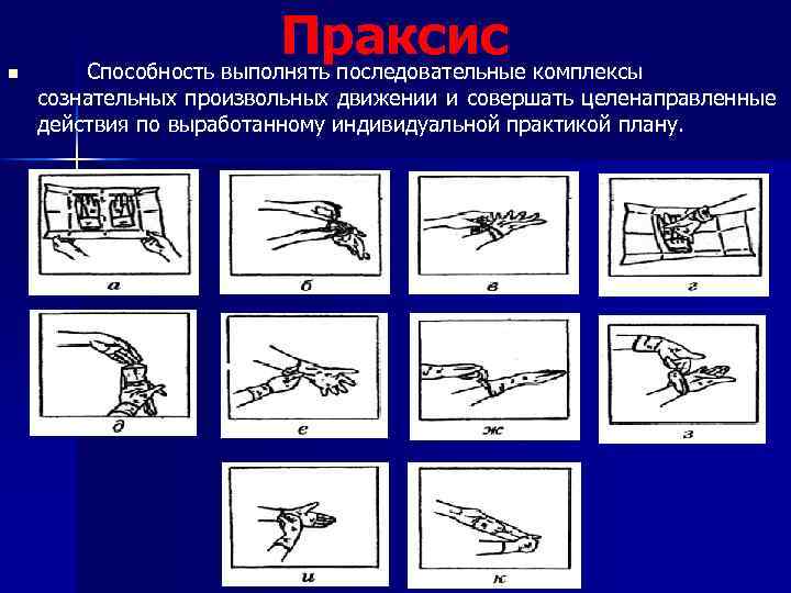 n Праксис комплексы Способность выполнять последовательные сознательных произвольных движении и совершать целенаправленные действия по