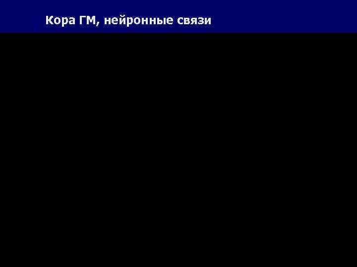 Кора ГМ, нейронные связи 