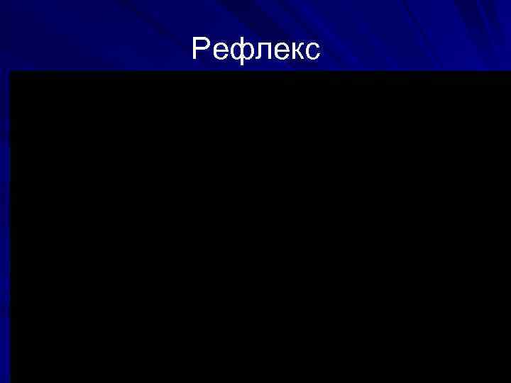 Рефлекс 
