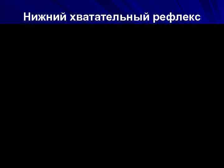 Нижний хватательный рефлекс 