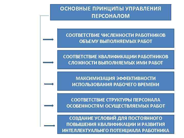 ОСНОВНЫЕ ПРИНЦИПЫ УПРАВЛЕНИЯ ПЕРСОНАЛОМ СООТВЕТСТВИЕ ЧИСЛЕННОСТИ РАБОТНИКОВ ОБЪЕМУ ВЫПОЛНЯЕМЫХ РАБОТ СООТВЕТСТВИЕ КВАЛИФИКАЦИИ РАБОТНИКОВ СЛОЖНОСТИ