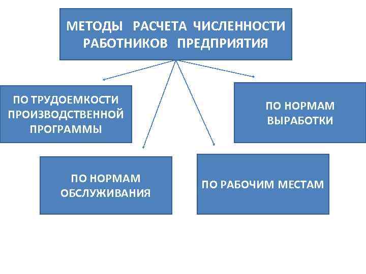 Рассчитала персонала