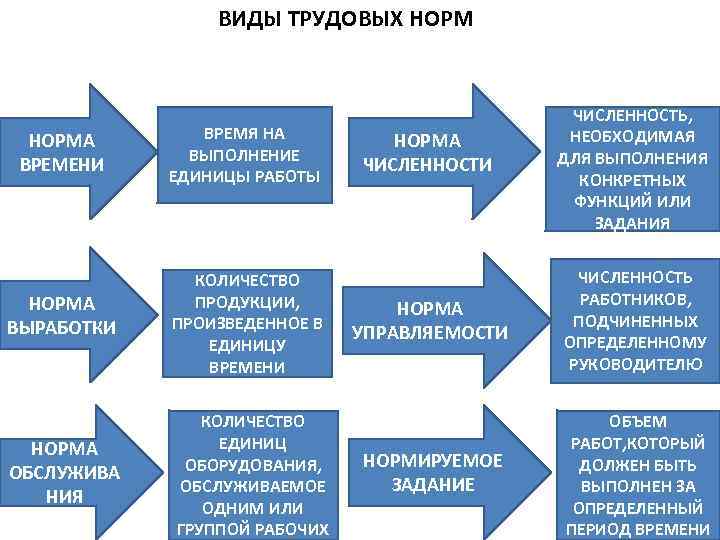 ВИДЫ ТРУДОВЫХ НОРМА ВРЕМЕНИ ВРЕМЯ НА ВЫПОЛНЕНИЕ ЕДИНИЦЫ РАБОТЫ НОРМА ВЫРАБОТКИ КОЛИЧЕСТВО ПРОДУКЦИИ, ПРОИЗВЕДЕННОЕ