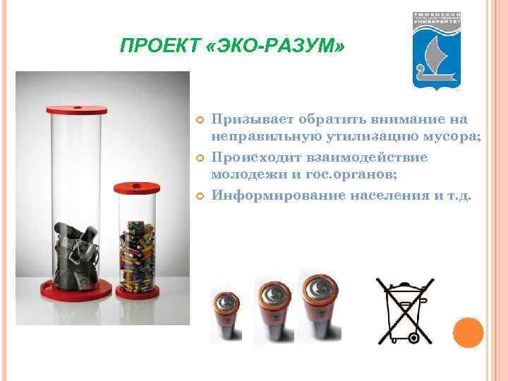 ПРОЕКТ «ЭКО-РАЗУМ» Призывает обратить внимание на неправильную утилизацию мусора; Происходит взаимодействие молодежи и гос.