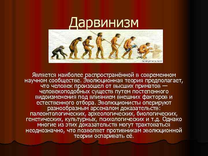 Дарвинизм Является наиболее распространённой в современном научном сообществе. Эволюционная теория предполагает, что человек произошел