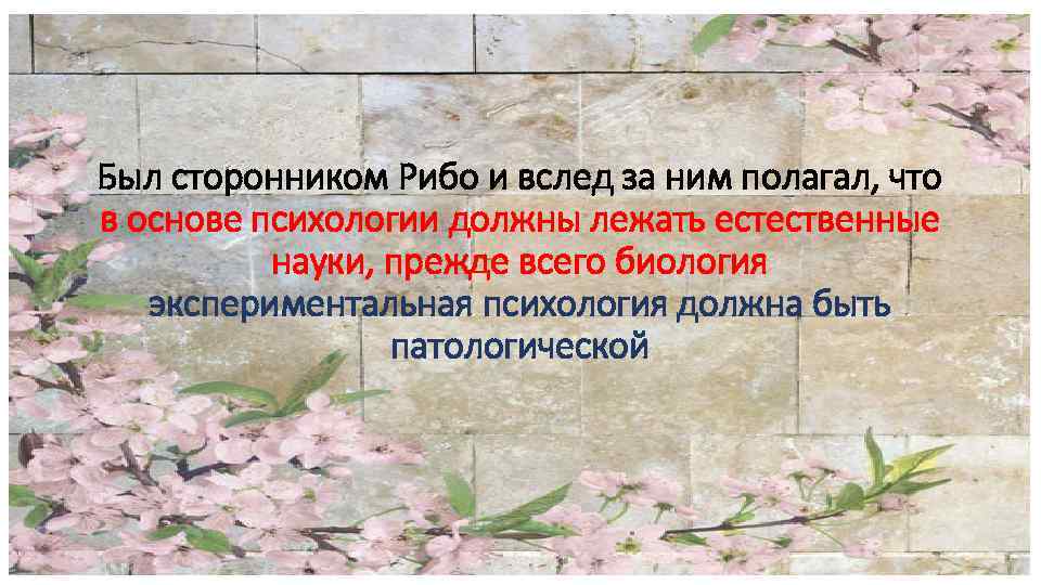 Был сторонником Рибо и вслед за ним полагал, что в основе психологии должны лежать