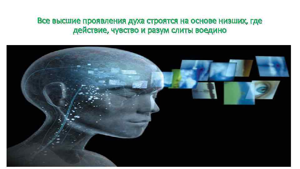 Все высшие проявления духа строятся на основе низших, где действие, чувство и разум слиты