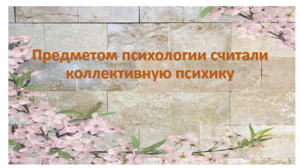 Предметом психологии считали коллективную психику 