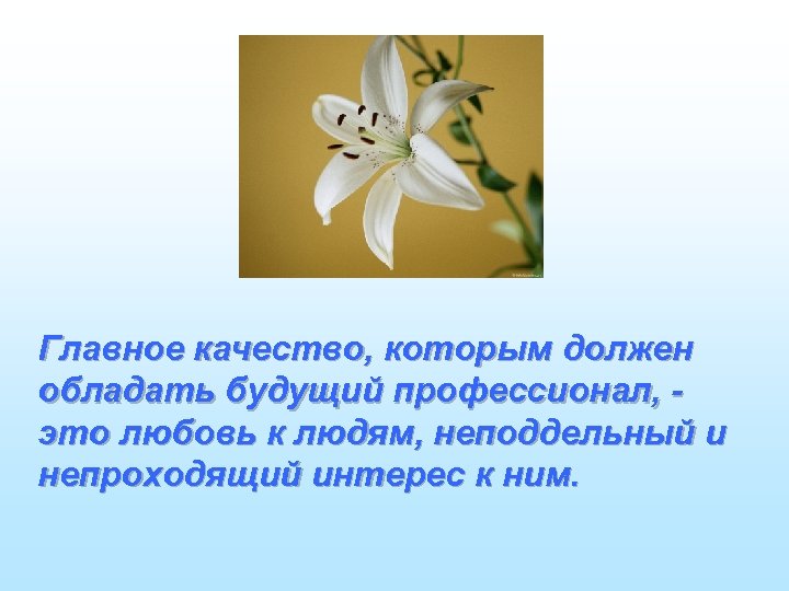 Главное качество, которым должен обладать будущий профессионал, это любовь к людям, неподдельный и непроходящий