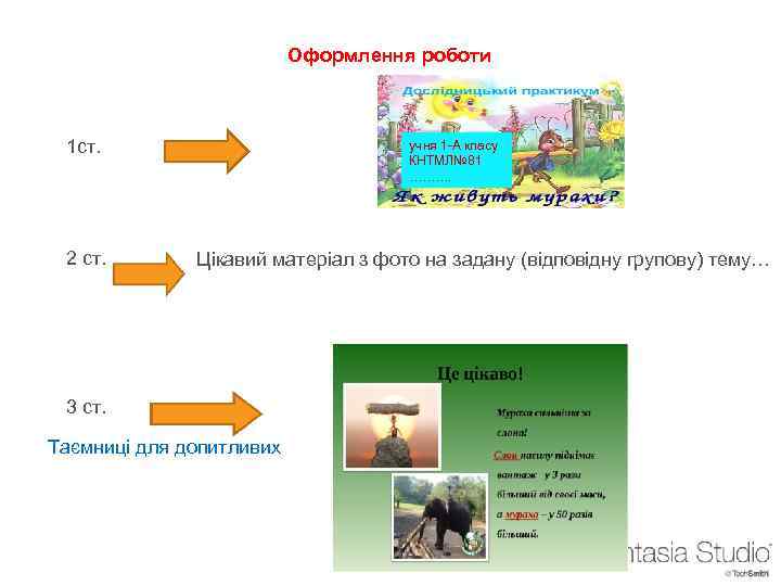 Оформлення роботи 1 ст. 2 ст. учня 1 -А класу КНТМЛ№ 81 ………. Цікавий